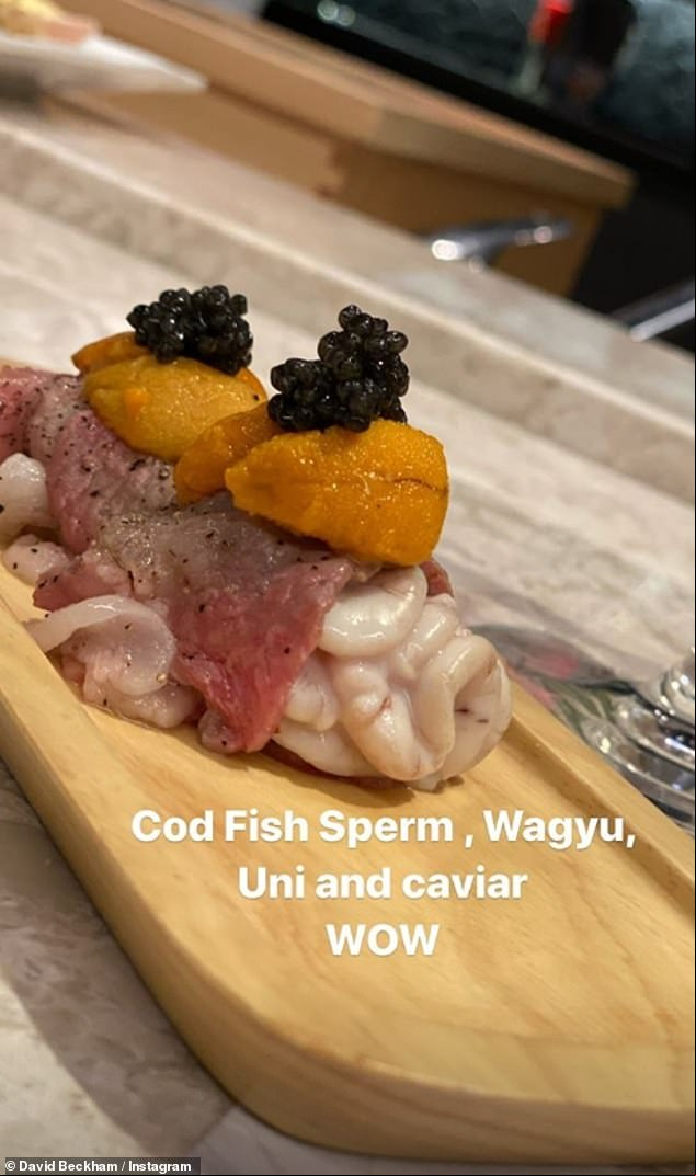 japan Cod sperm